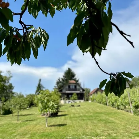 Počitniška hiša Elton384 Bogojina