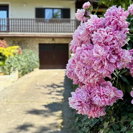 Počitniška hiša Elton384 Bogojina