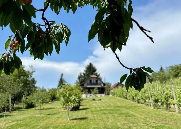 Casa de Férias Elton384 Bogojina