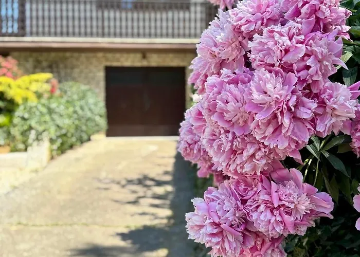 Casa de Férias Elton384 Bogojina